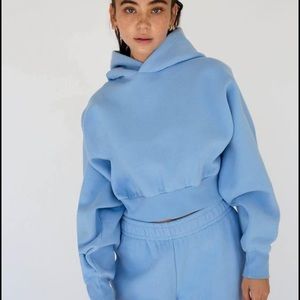Aritzia sky blue tna ‘shrunken hoodie’ size medium. Fits small-medium